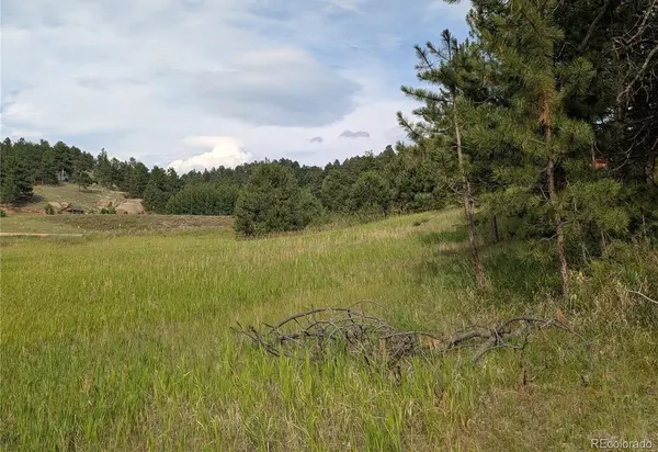 1379 S Mountain Estates RD, Florissant, CO 80816