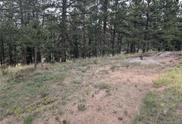 1379 S Mountain Estates RD, Florissant, CO 80816