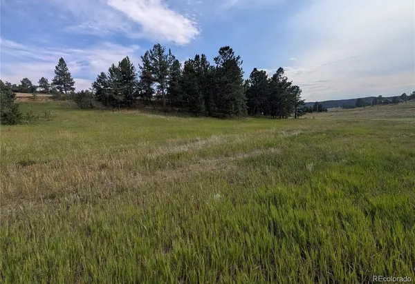 1379 S Mountain Estates RD, Florissant, CO 80816