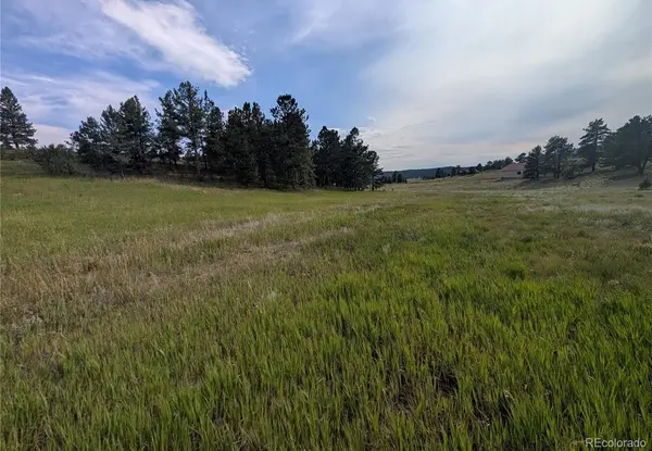 1379 S Mountain Estates RD, Florissant, CO 80816