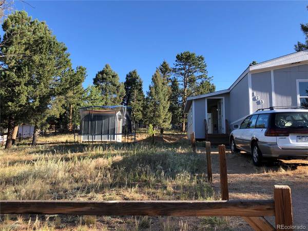 169 Daisy ST, Woodland Park, CO 80863