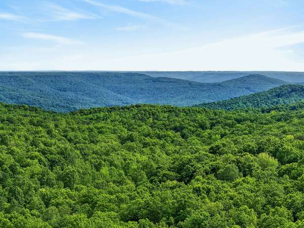 0 Harrison Ferry Road, Mc Minnville, TN 37110