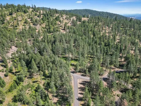NKA Weaver WAY #Lot 3 of Lot 1, Deer Park, WA 99006