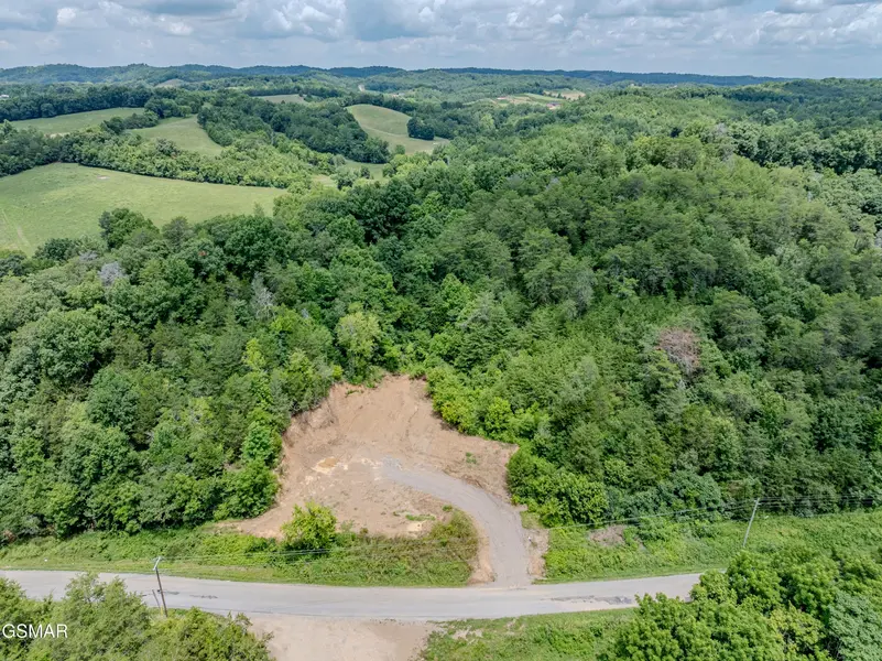 0 Fowlers Grove Rd, Newport, TN 37821