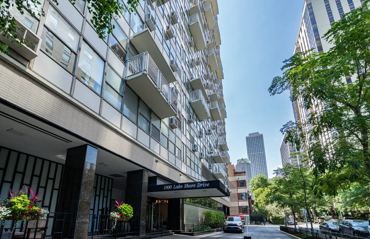 1000 N LAKE SHORE DR #308, Chicago, IL 60611