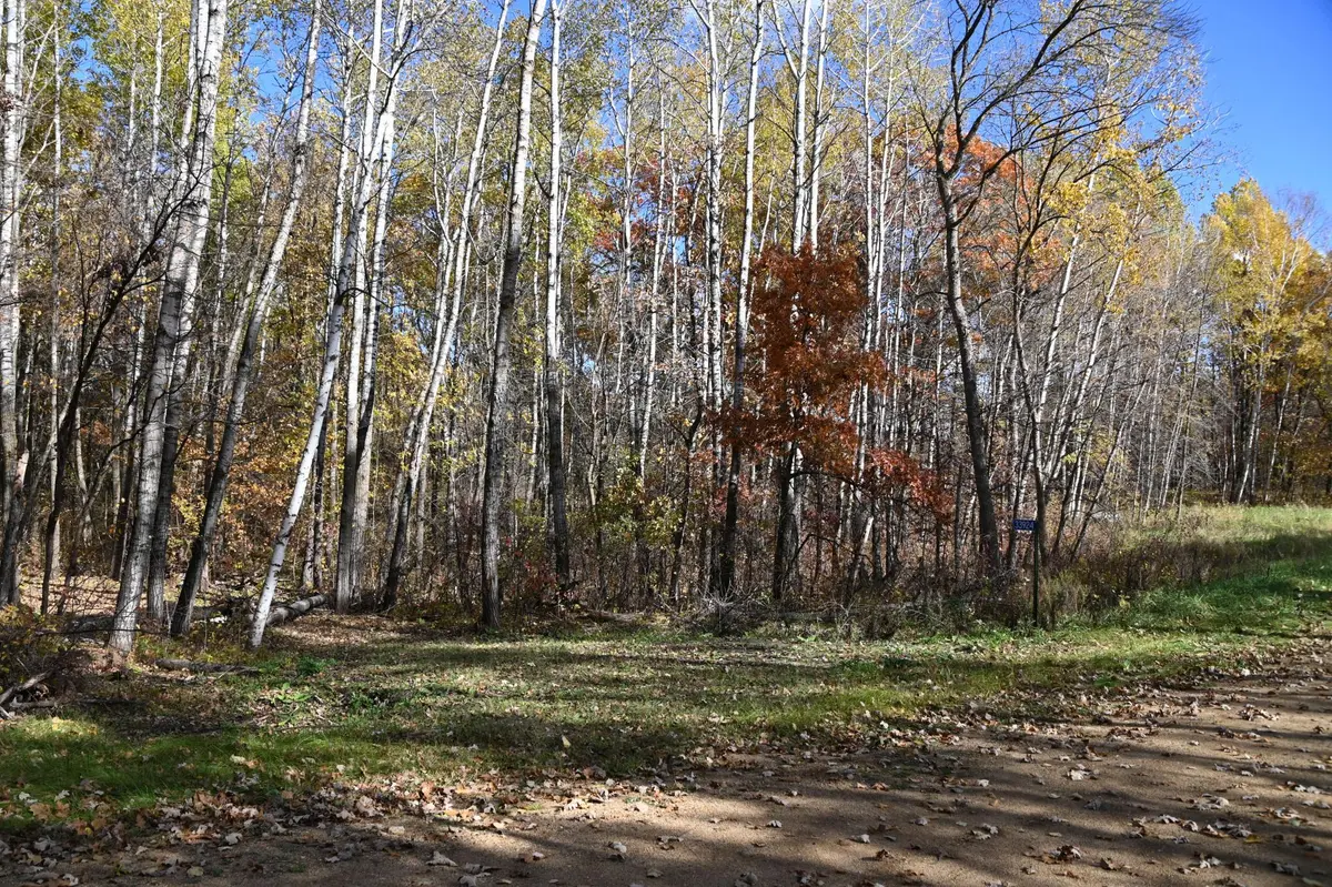 39924 Oriole CT, Browerville, MN 56438