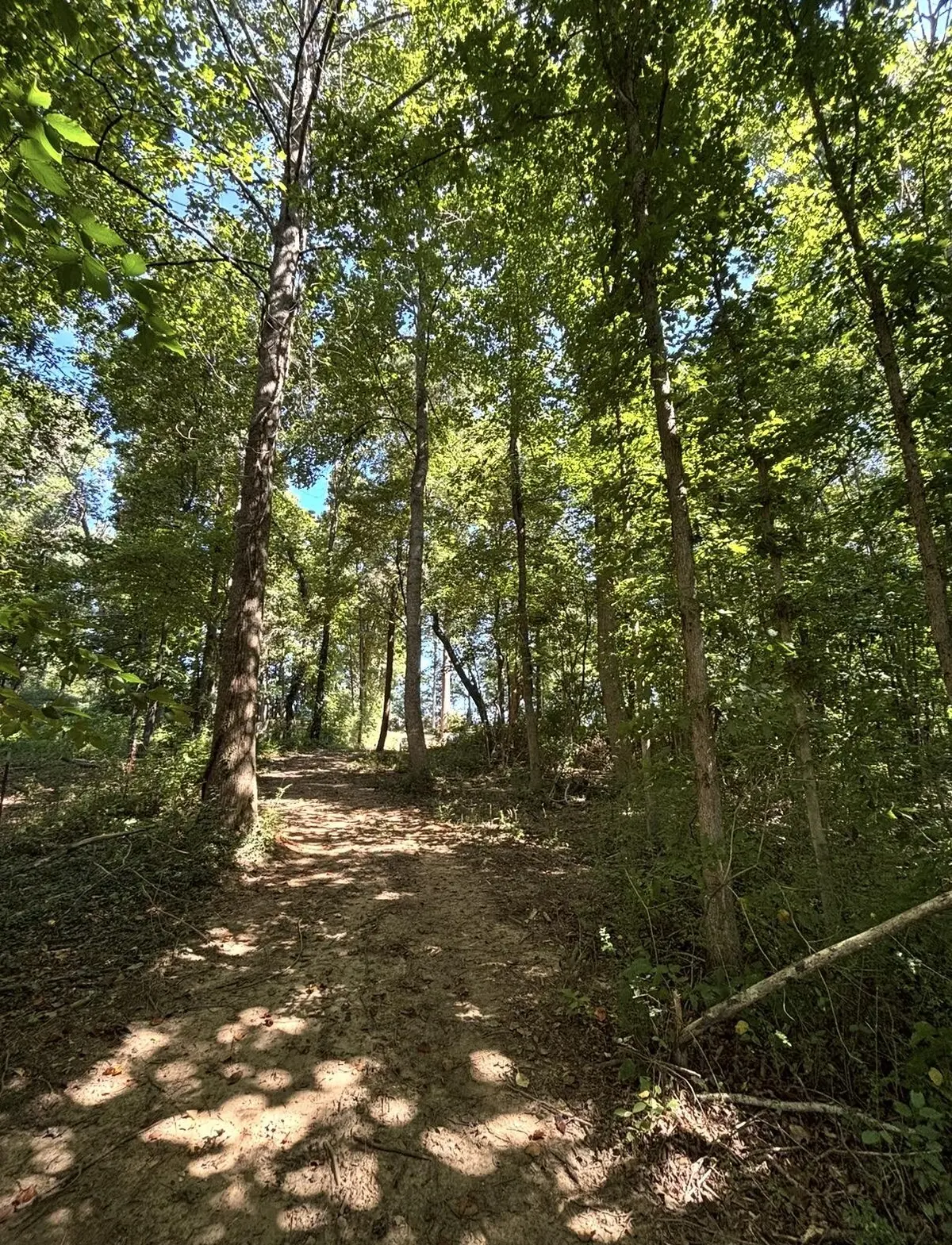 388 W Toomey Lane, Madisonville, TN 37354