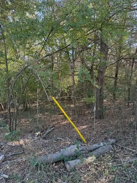 125 Helemano DR, Bastrop, TX 78602