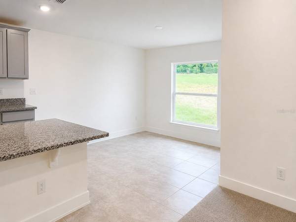 259 VERNY GROVE LANE, Leesburg, FL 34748
