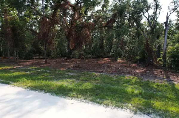1615 NE 497TH ST, Old Town, FL 32680
