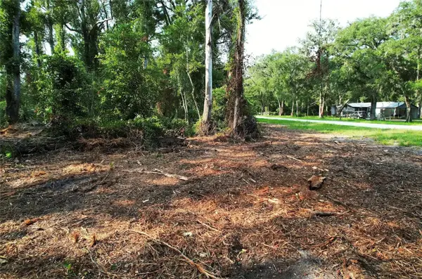 1615 NE 497TH ST, Old Town, FL 32680