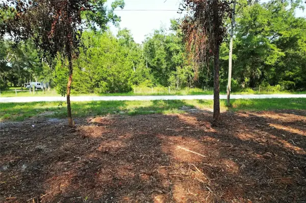 1615 NE 497TH ST, Old Town, FL 32680
