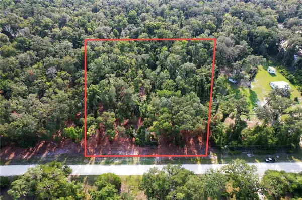 1615 NE 497TH ST, Old Town, FL 32680