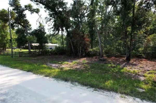 NE 497TH ST, Old Town, FL 32680