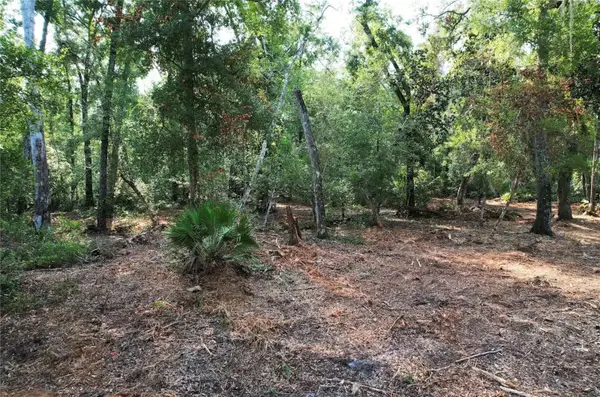NE 497TH ST, Old Town, FL 32680