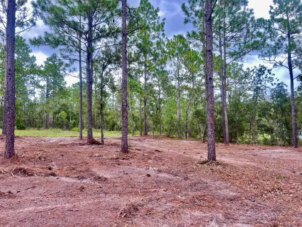 16 SW ANCHOR BLVD, Dunnellon, FL 34431