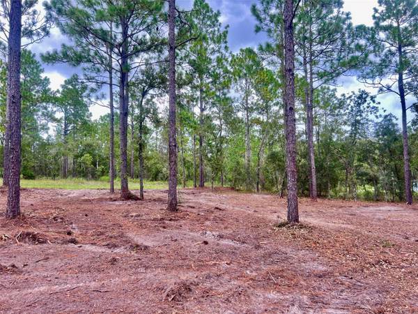 16 SW ANCHOR BLVD, Dunnellon, FL 34431