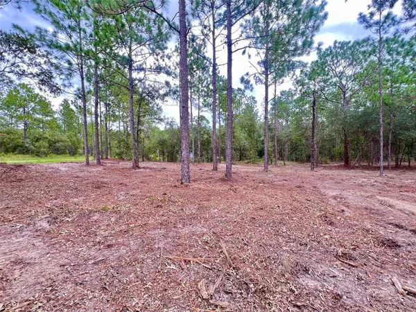 16 SW ANCHOR BLVD, Dunnellon, FL 34431