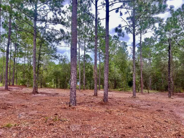 16 SW ANCHOR BLVD, Dunnellon, FL 34431