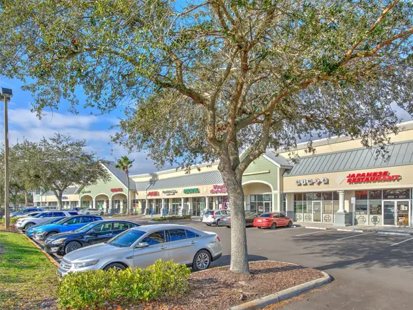 2215 COLLIER PARKWAY, Land O Lakes, FL 34639