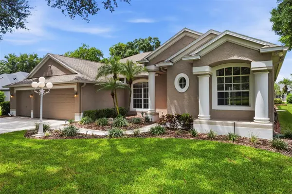 13756 DOWLING LN, Odessa, FL 33556