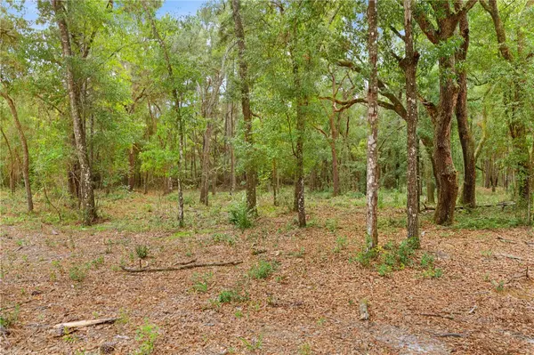 0 SHAVER DR, Brooksville, FL 34601