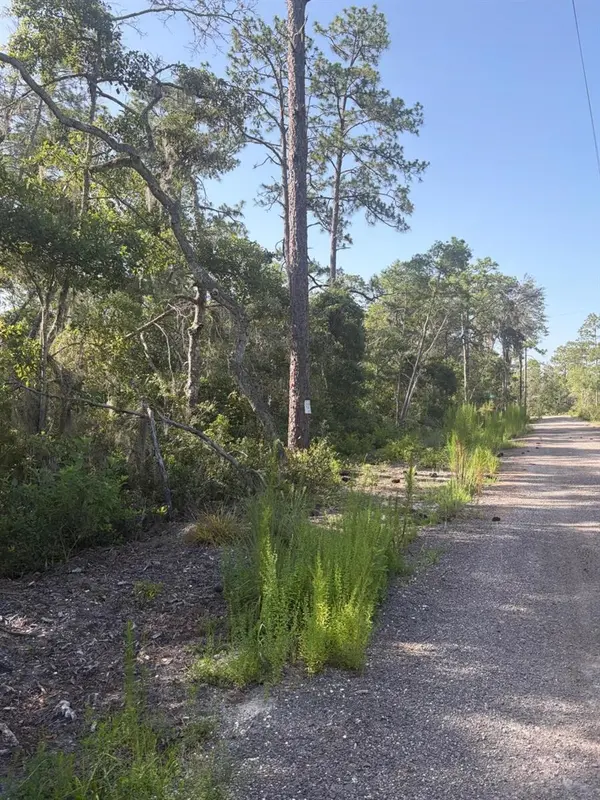 0 SHYLA RD, Brooksville, FL 34604