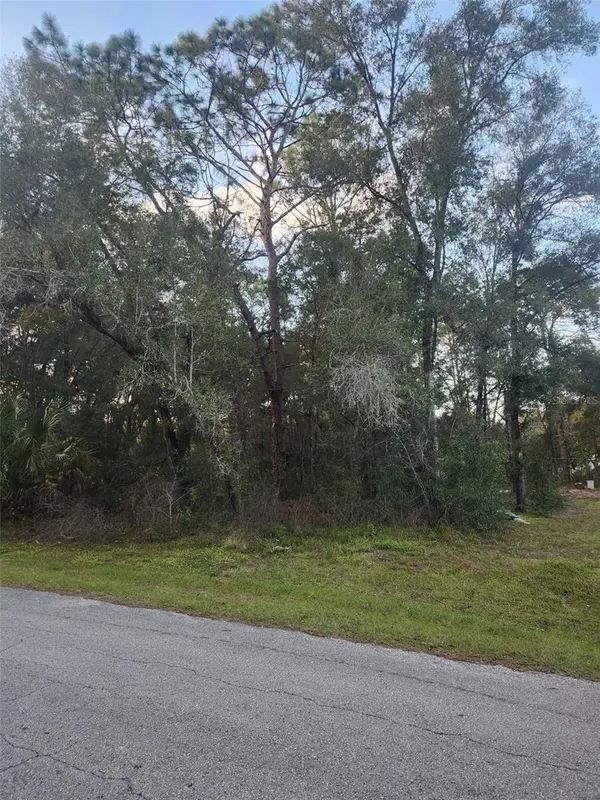 4029 E WALKER ST, Inverness, FL 34453