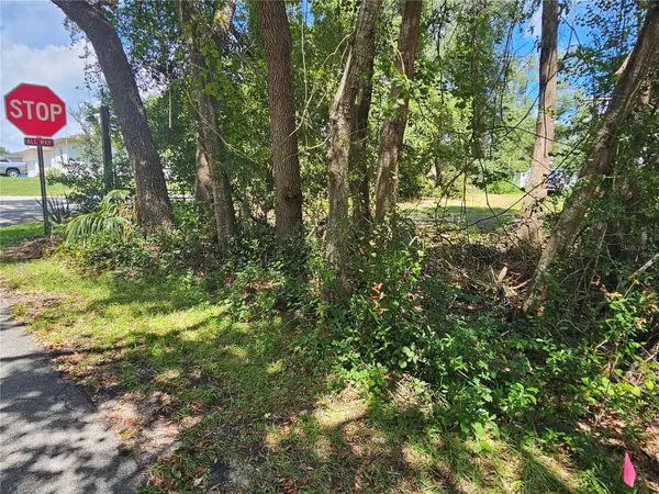 18TH ST, Orange City, FL 32763