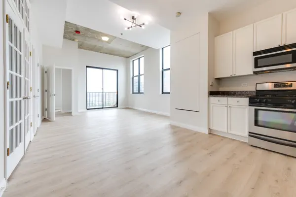 1464 S Michigan AVE #1509, Chicago, IL 60605