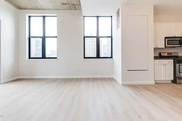 1464 S Michigan AVE #1509, Chicago, IL 60605