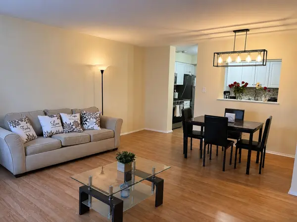 4623 N Chester AVE #110, Chicago, IL 60656