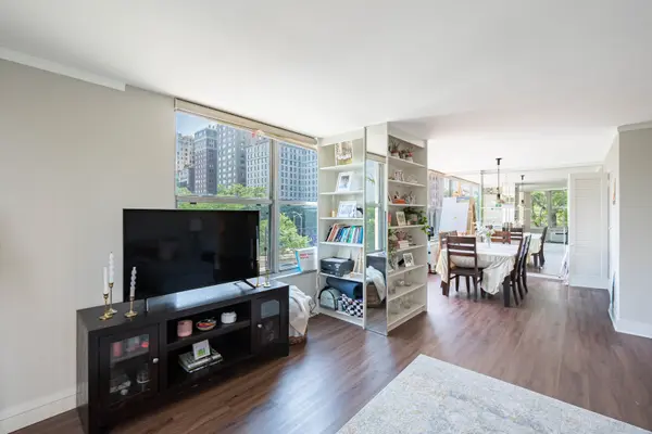 1000 N LAKE SHORE DR #308, Chicago, IL 60611