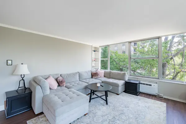 1000 N LAKE SHORE DR #308, Chicago, IL 60611