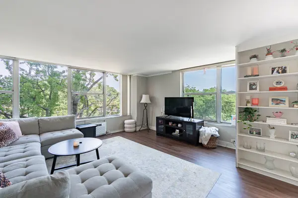 1000 N LAKE SHORE DR #308, Chicago, IL 60611