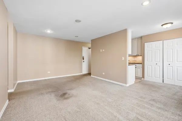 426 W Barry AVE #308, Chicago, IL 60657