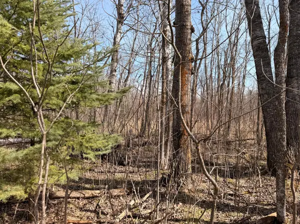 _ _, Steenerson Twp, MN 56727