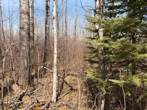 _ _, Steenerson Twp, MN 56727