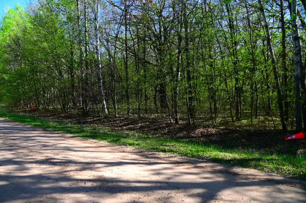 28329 orchard DR, Browerville, MN 56438