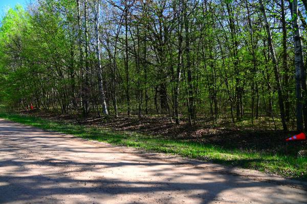 28329 orchard DR, Browerville, MN 56438