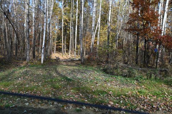 39924 Oriole CT, Browerville, MN 56438