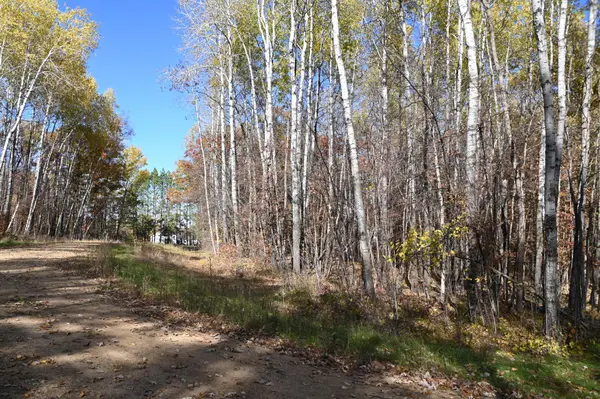 39924 Oriole CT, Browerville, MN 56438