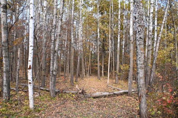 39924 Oriole CT, Browerville, MN 56438