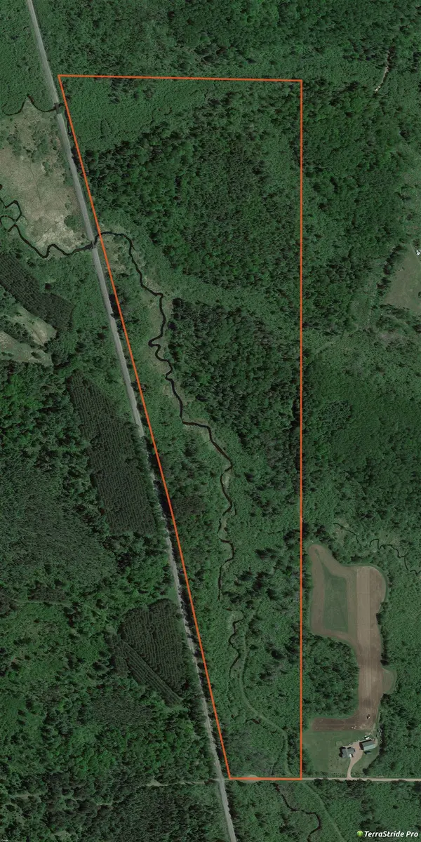TAMARACK LN, Irma, WI 54442