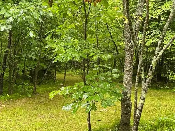 N10226 DEER LN, Middle Inlet, WI 54177