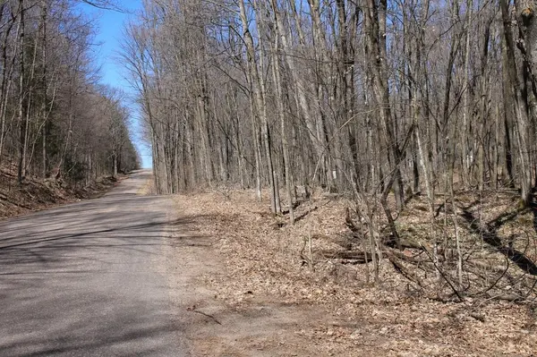 ELTON SOUTH RD, Elton, WI 54430