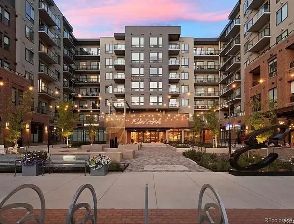 20 Wilcox ST #302, Castle Rock, CO 80104