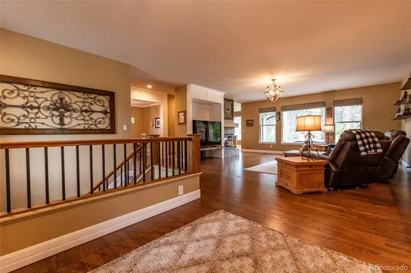 1118 Kenosha DR, Larkspur, CO 80118
