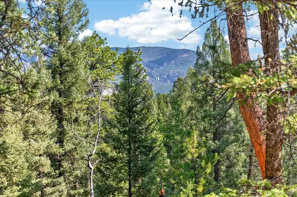 12907 S Cindy AVE, Pine, CO 80470