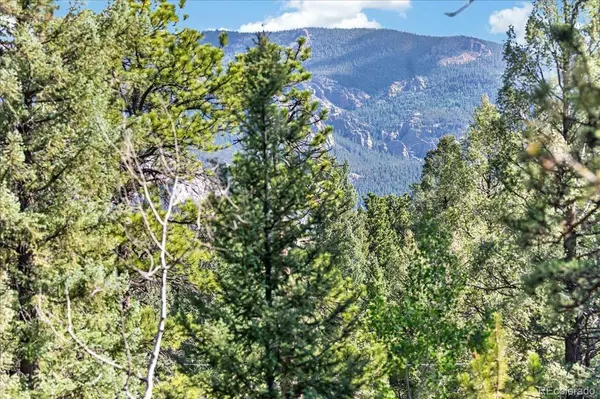 12907 S Cindy AVE, Pine, CO 80470